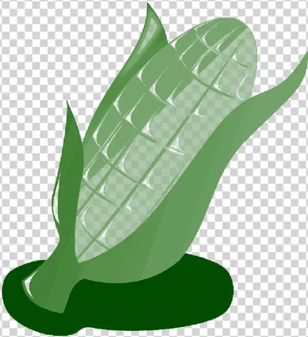 Mb Image/png - Maize