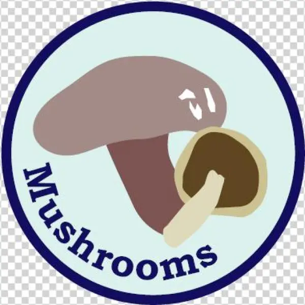 Mushrooms - Portable Network Graphics