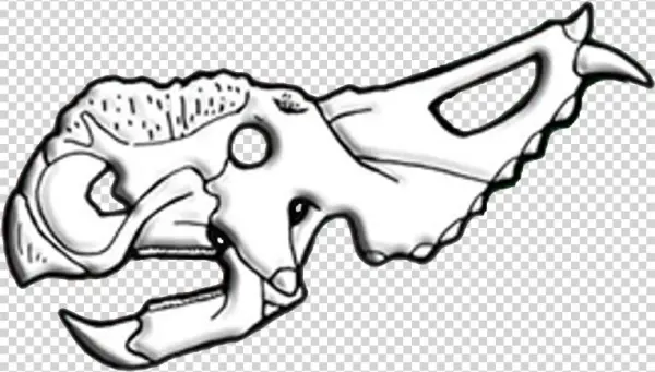 Pachyrhinosaurus Skull Diagram - Pachyrhinosaurus