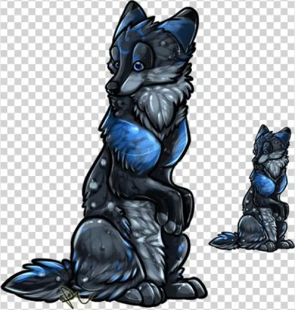 Schipperke