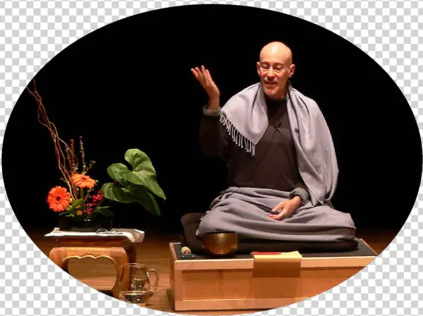 Shinzen - Shinzen Young