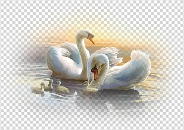 This Photo Was Uploaded By - O Ljubvi I Seksual'noj Jenergii: О Любви И Сексуальной