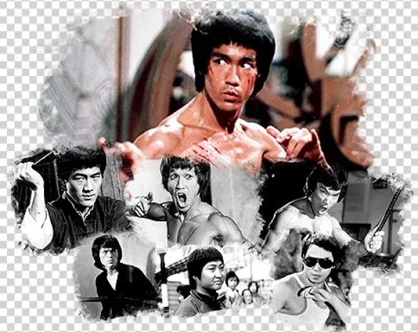 Top 10 Bruceploitation Movies - Aquarius Bruce Lee - Enter The Dragon Puzzle (1000