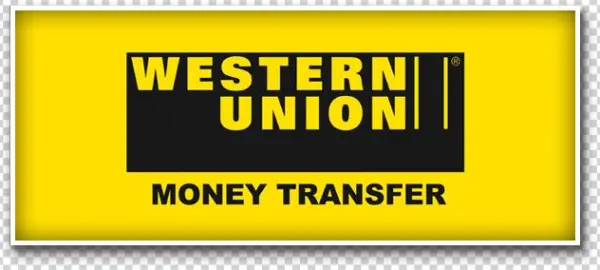 Western Union Transfers - Necklace,jewellery,jasper,pearl Necklace,beading,present,special