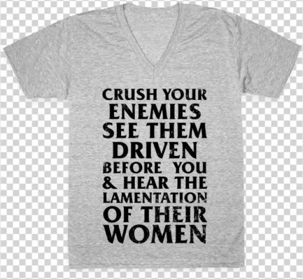 Conan, What Is Best In Life V-neck Tee Shirt - Crush Your Enemies See Them Driven Before You And Hear