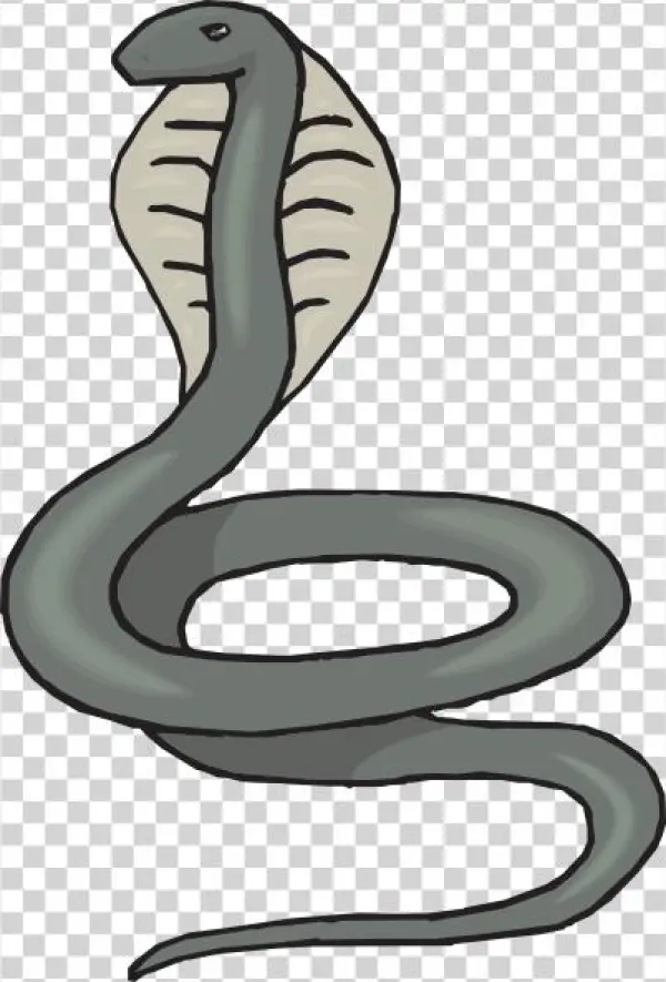 How To Set Use Gray Cobra Clipart