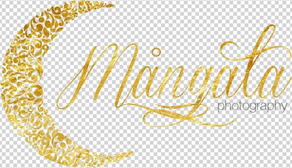 Mangata Logo For Light Bg Transparent Medium - Logo