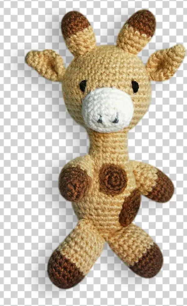 Northern Giraffe