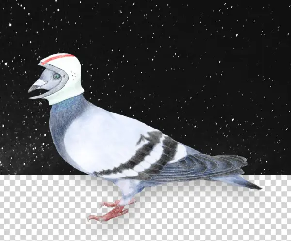 Space Helmet Png
