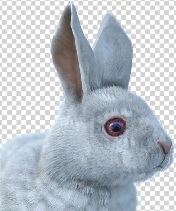 Svg Black And White Download Image Hare Male Albino - Lepre Artica Png
