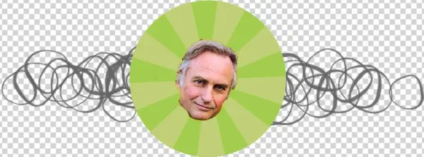 The Meme Phenomenon - Understanding Evolution: History, Theory, Evidence,