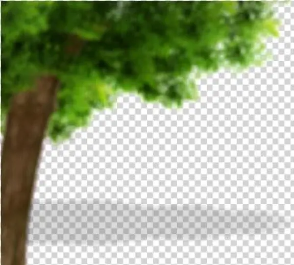 Tree-500x300 - Trousers