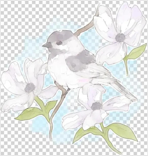 Watercolor - Eastern Kingbird