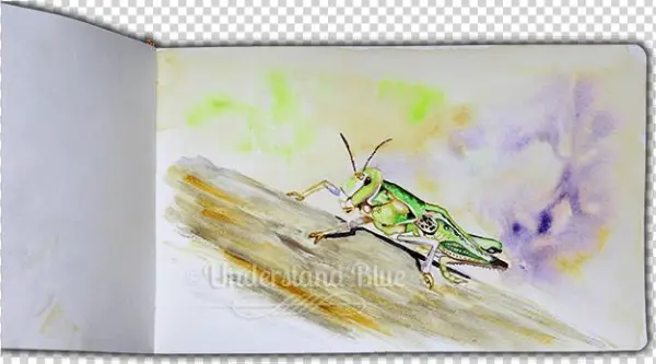 #worldwatercolormonth - Locust
