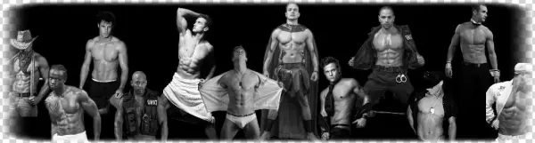 All Female Fantacies Covered - Barechested