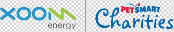 Is On A Mission To Help End Pet Homelessness And Connect - Grreat Choice Petsmart Jumbo Tennis Ball Dog Toy (color