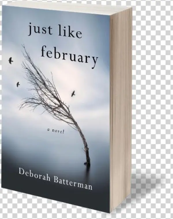 Just Like February - Just Like February [book]