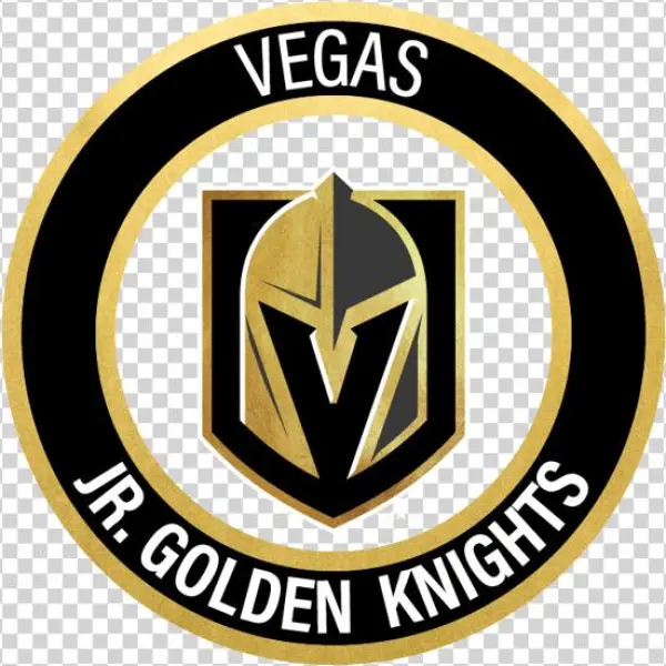 Long Term Athletic Development Flyer - Nhl Vegas Golden Knights Franklin Sports Street Hockey