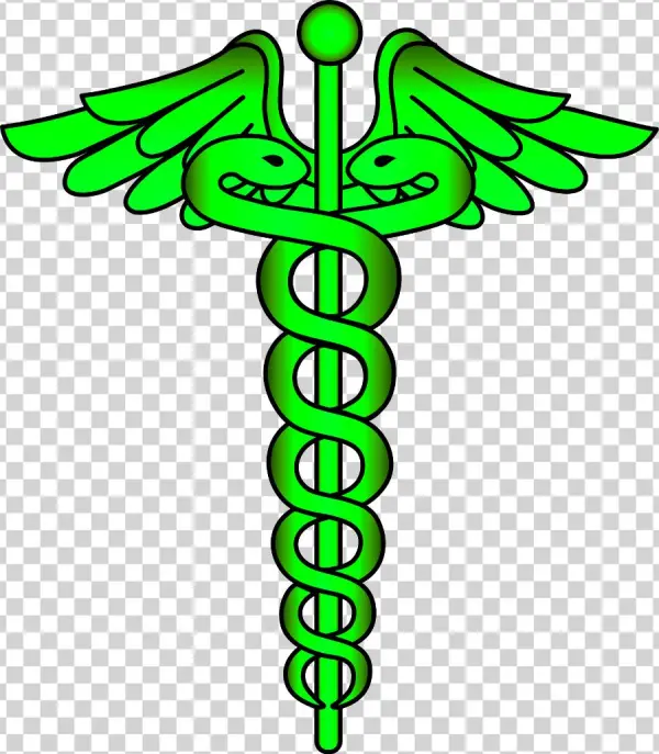 Physician Logo Transparent
