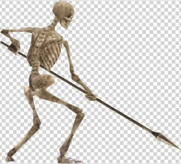 Raft Skeleton Dxc - Biathlon
