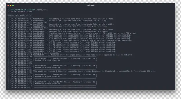 Safe-vault 846 Kb - Linux