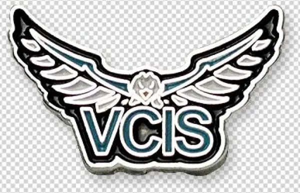 Soft Enamel Pins - Logo