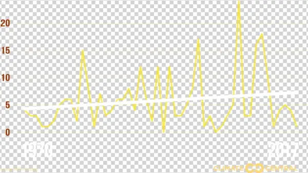 The - Calligraphy
