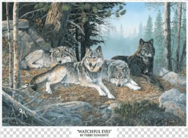 Watchful Eyes - Northern Promotions Framed Art - Watchful Eyes By Terry