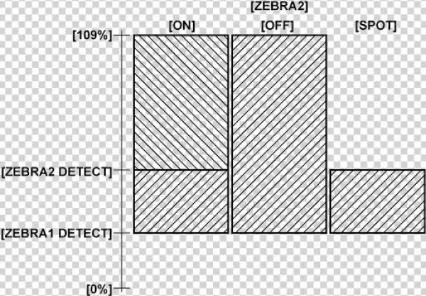 Co Other Zebra - Diagram