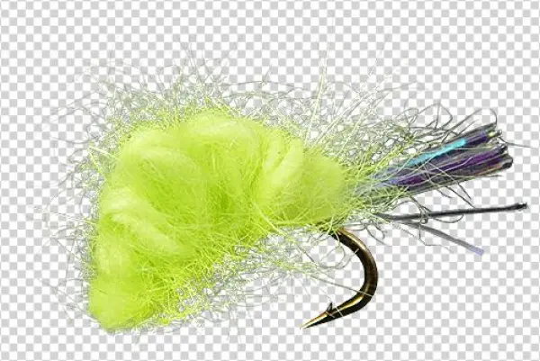 Feather