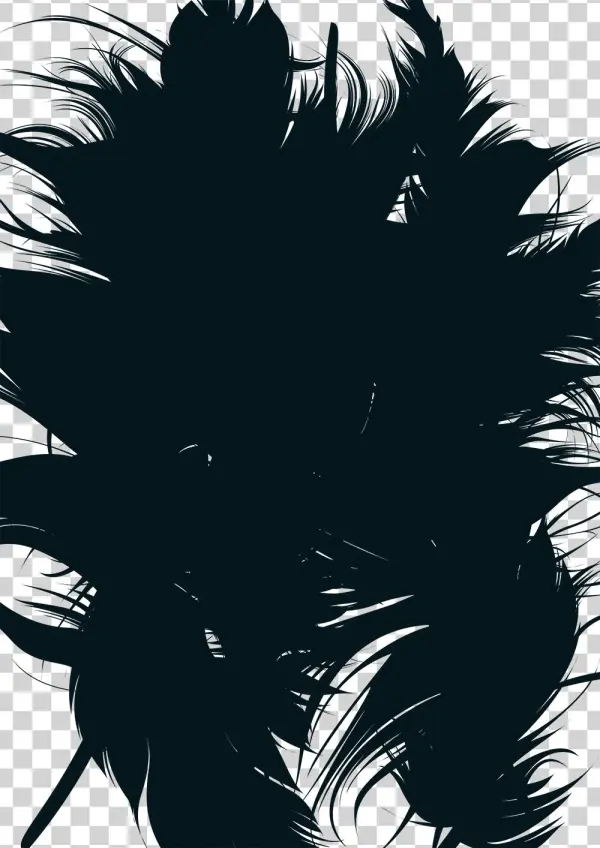 Fond-plume - Illustration