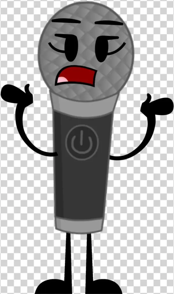 Microphone - Inanimate Insanity
