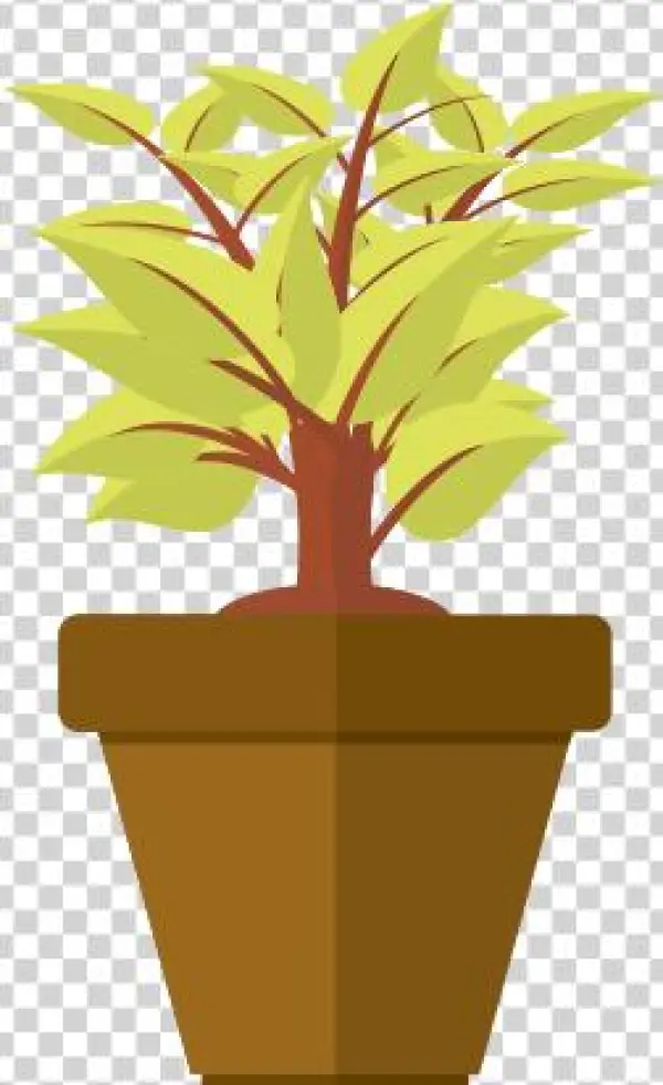Peace Naturals Marijuana Indica - Flowerpot