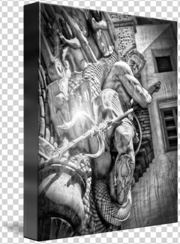 Picture Transparent Library By Peter Nuncio - Monochrome