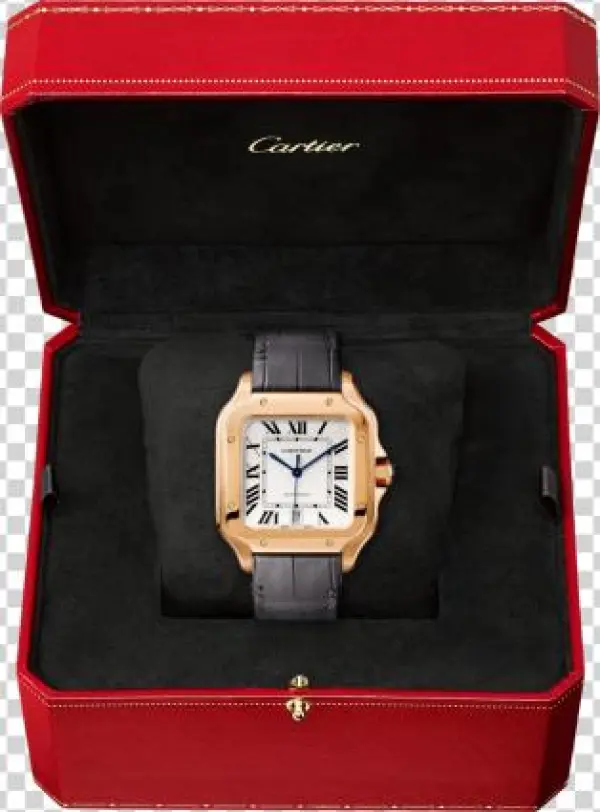 Santos De Cartier Watch - Wgsa0012