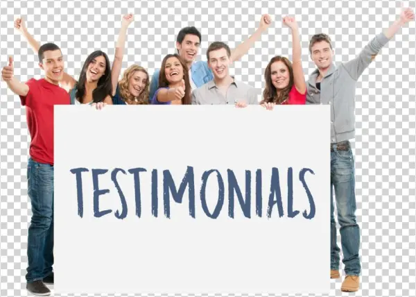 Testimonials - Novice Guide To How To Write A Thesis: Quick Tips On