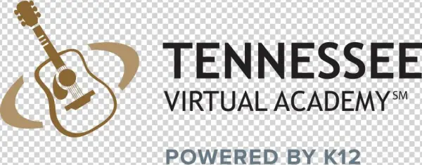 Texas Virtual Academy
