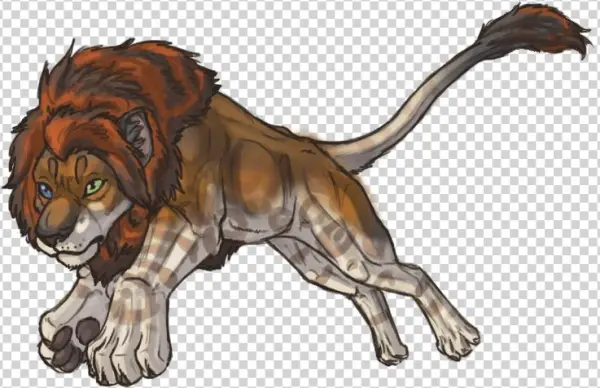 The Gallery For - Lion