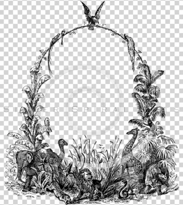 Vintage Black Frame Png