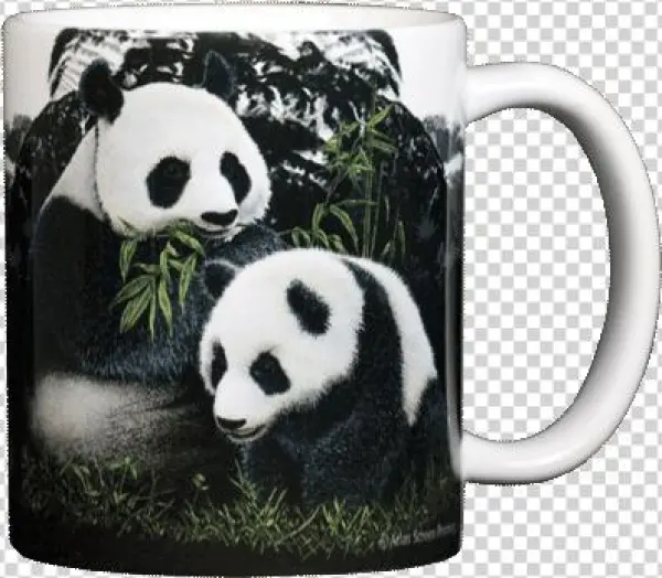 At003 Pandas Bk Mug - Mug