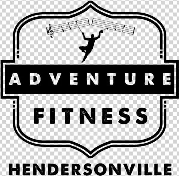 Avn Logo Hendersonville Below
