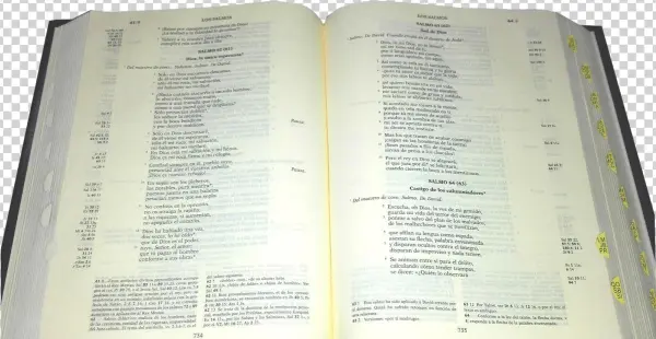 Biblia Abierta Png