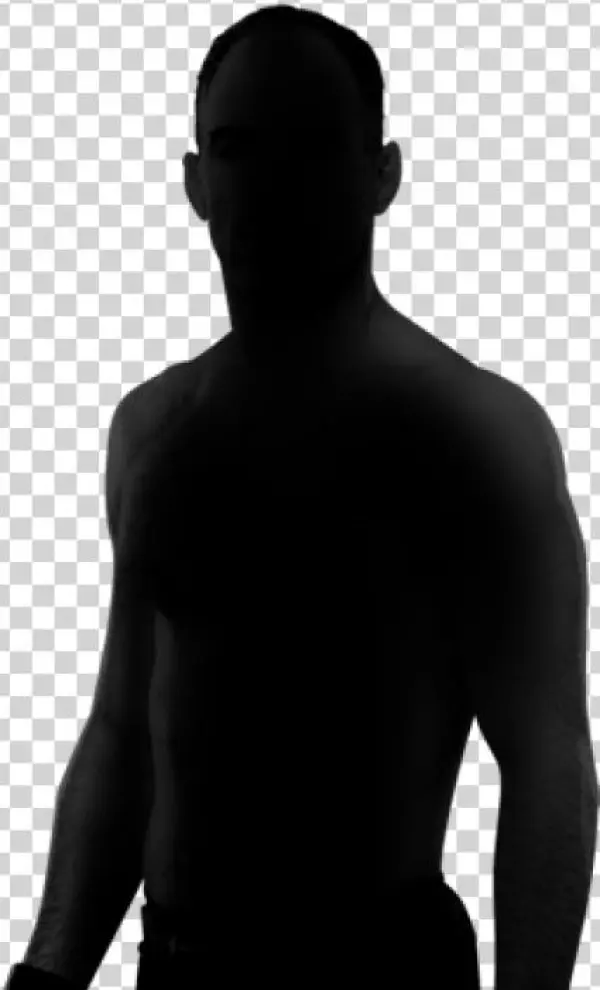 Biography - Silhouette