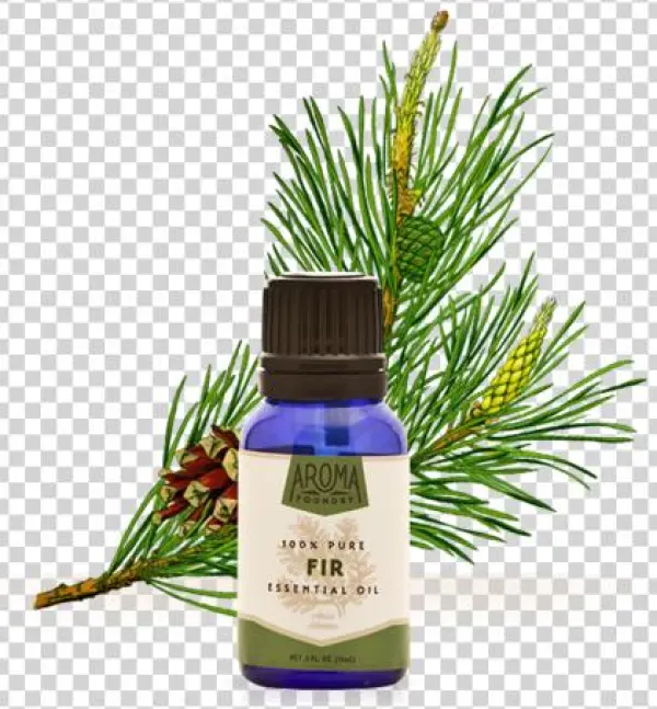 Fir Essential Oil - Aroma Foundry Fir Essential Oil - 15 Ml - 100% Pure