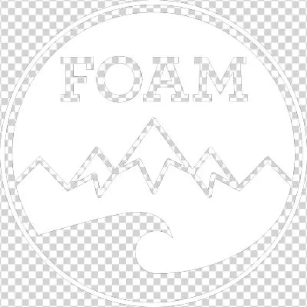 Foam Travel - Official One Direction One Direction Fever Hard Back