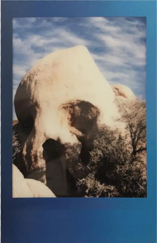Go Solo In Joshua Tree