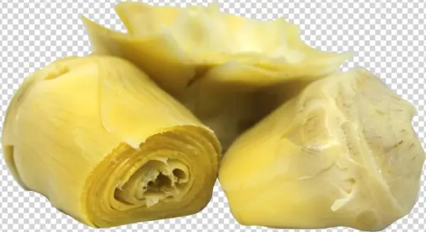 Ing-59 - Suman