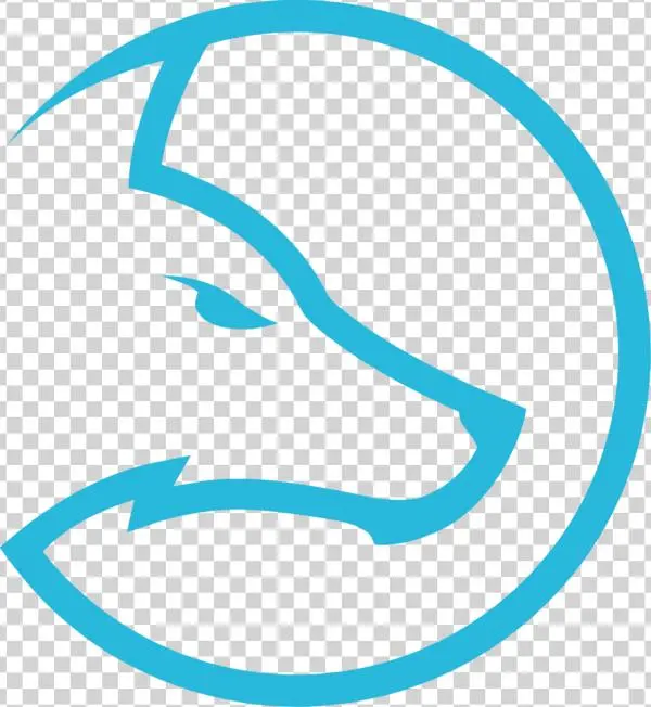 Ldlc - Team Ldlc