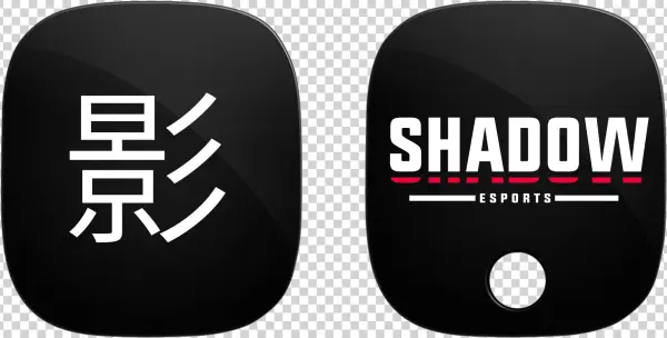 Shadow Esports Astro Tags