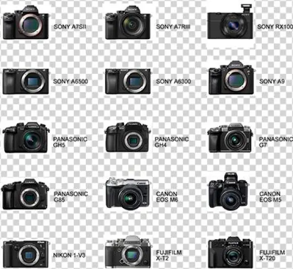 Supports All Mirrorless Cameras With A Max Payload - Megagear Ever Ready Leather Camera Case For Select